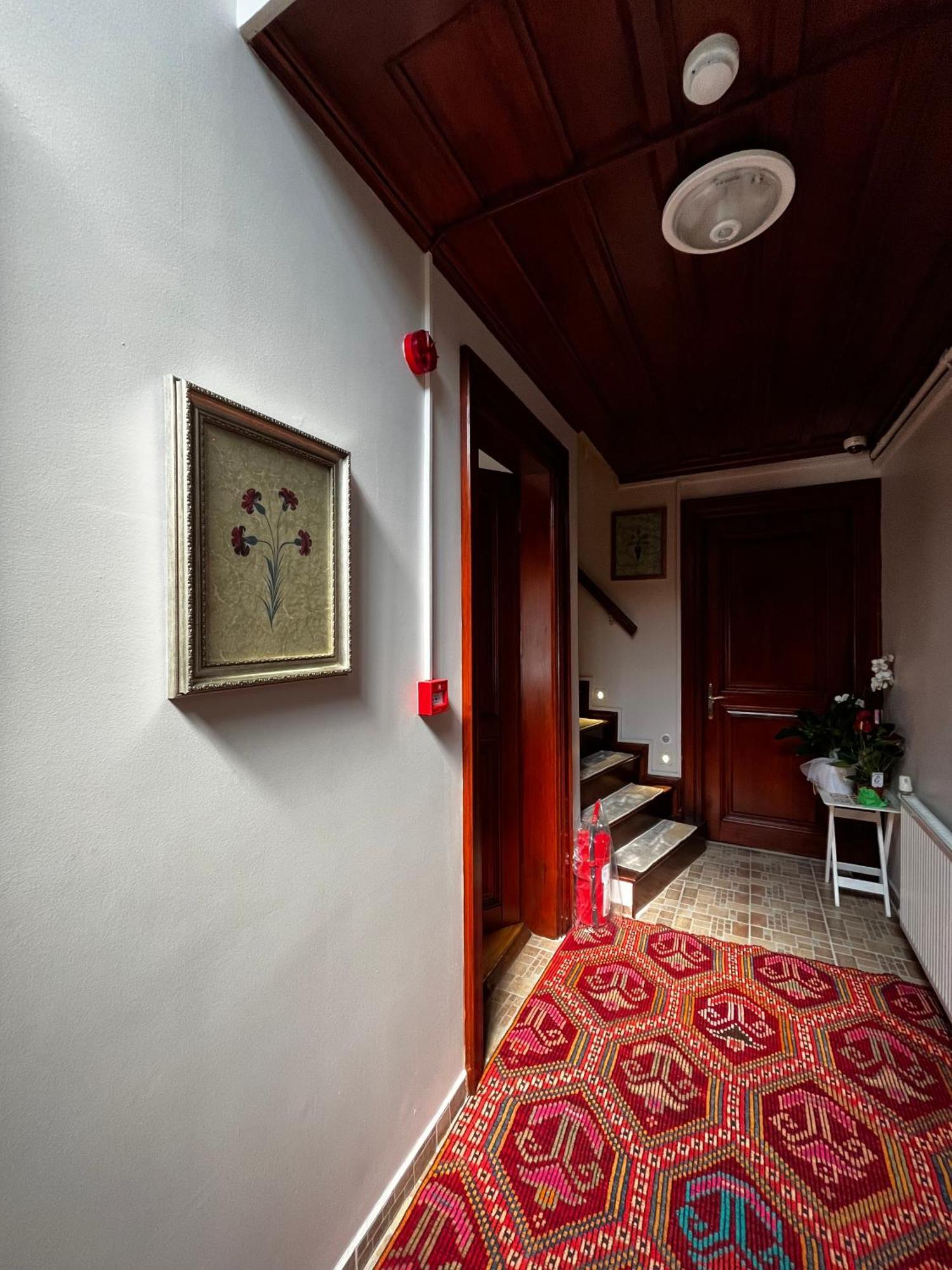 Lily Mansion Apartment Istanbul Exterior photo